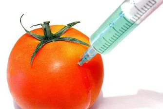 България ще бъде свободна от ГМО