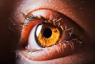 10 удивителни факта за човешките очи