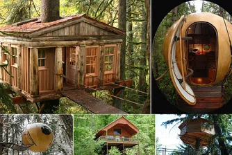 8-те най-впечатляващи къщи на дърво под наем в САЩ