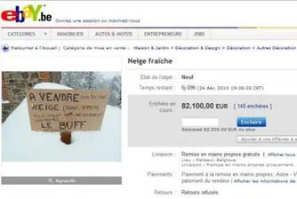 Белгиец продава в Ebay снега в двора си