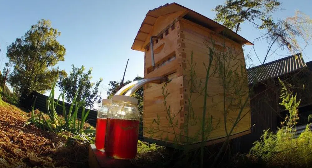 Пчеларско изобретение постави рекорд по набрано финансиране