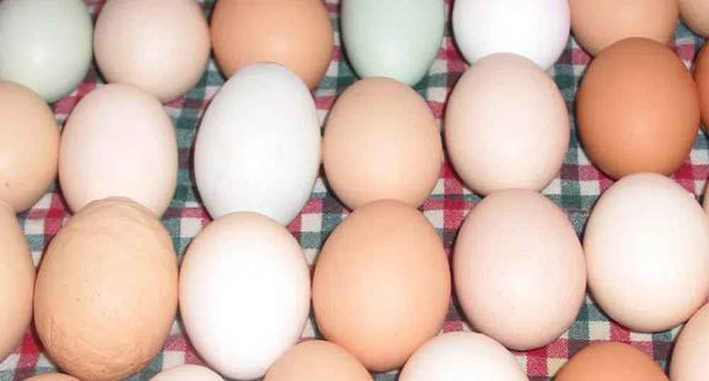 Преди Великден: Агенцията за храните конфискува 67 500 яйца