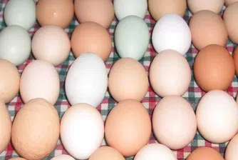 Преди Великден: Агенцията за храните конфискува 67 500 яйца