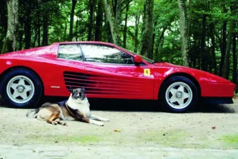 Продават Ferrari Testarosa на Ален Делон