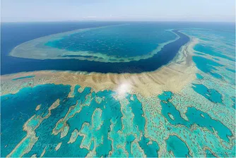 Големият бариерен риф ще изчезне до 20 години
