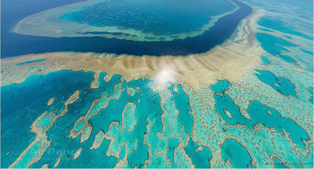 Големият бариерен риф ще изчезне до 20 години
