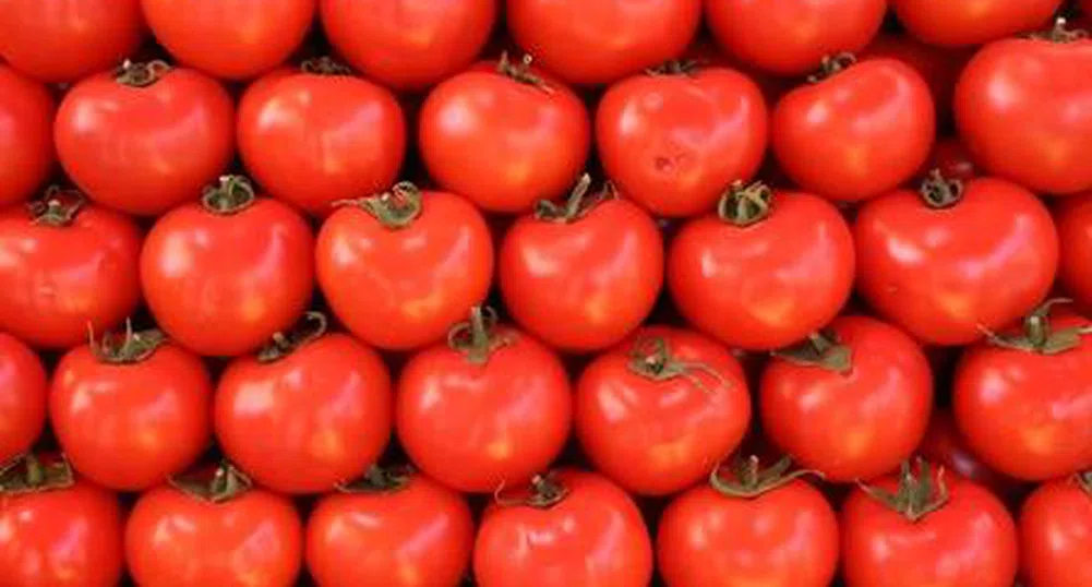 Килограм домати в Гърция стигна 2 евро