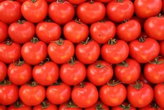 Килограм домати в Гърция стигна 2 евро