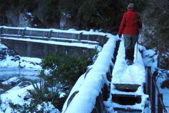Нова Зеландия затрупана от най-тежкия снеговалеж от 1970
