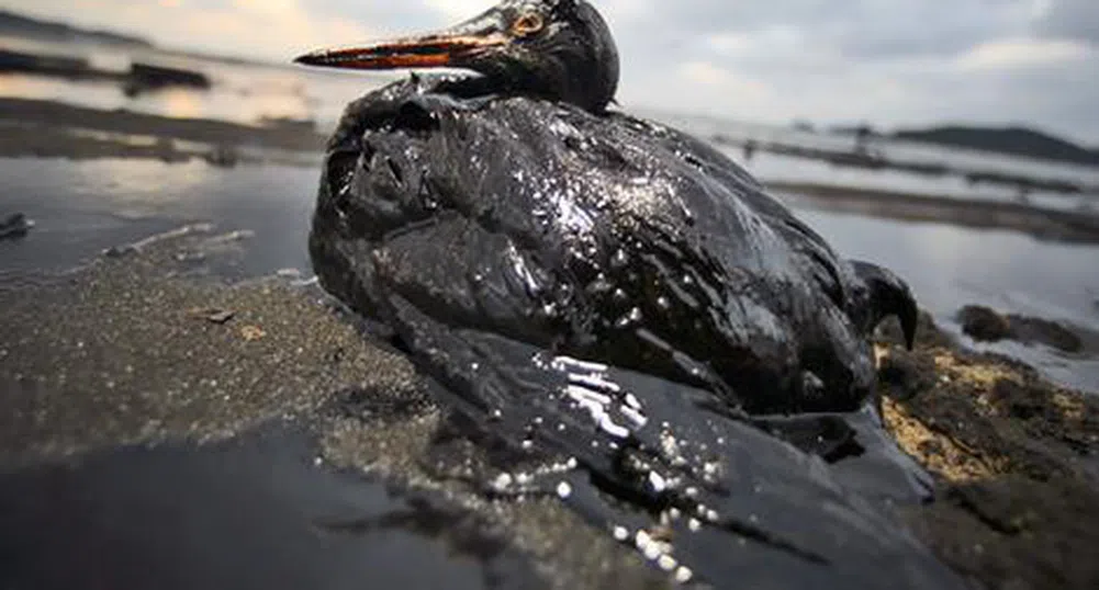 Дания съобщи за разлив на петрол в Северно море