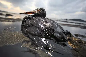 Дания съобщи за разлив на петрол в Северно море