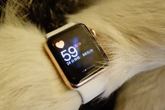 Синът на най-богатия китаец купи два часовника Apple за кучето си