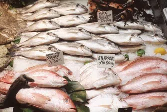 Световните цени на рибата с рекордни нива и продължават да скачат