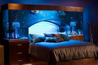 Невероятни идеи за аквариуми