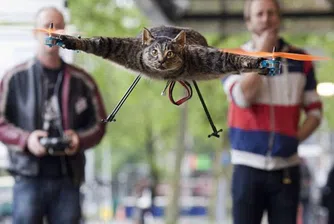 Orvillecopter – летяща нежива котка