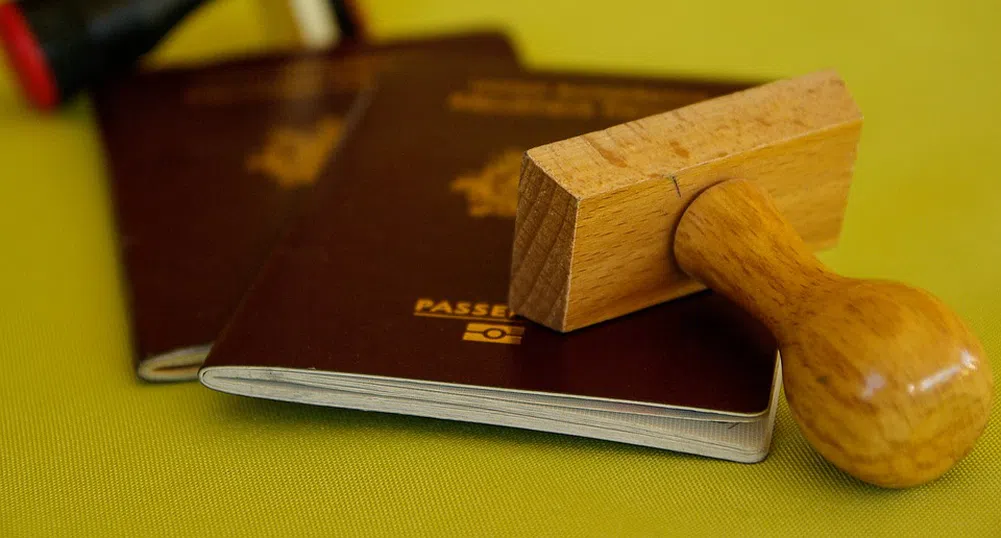 Какво означава цветът на паспорта?