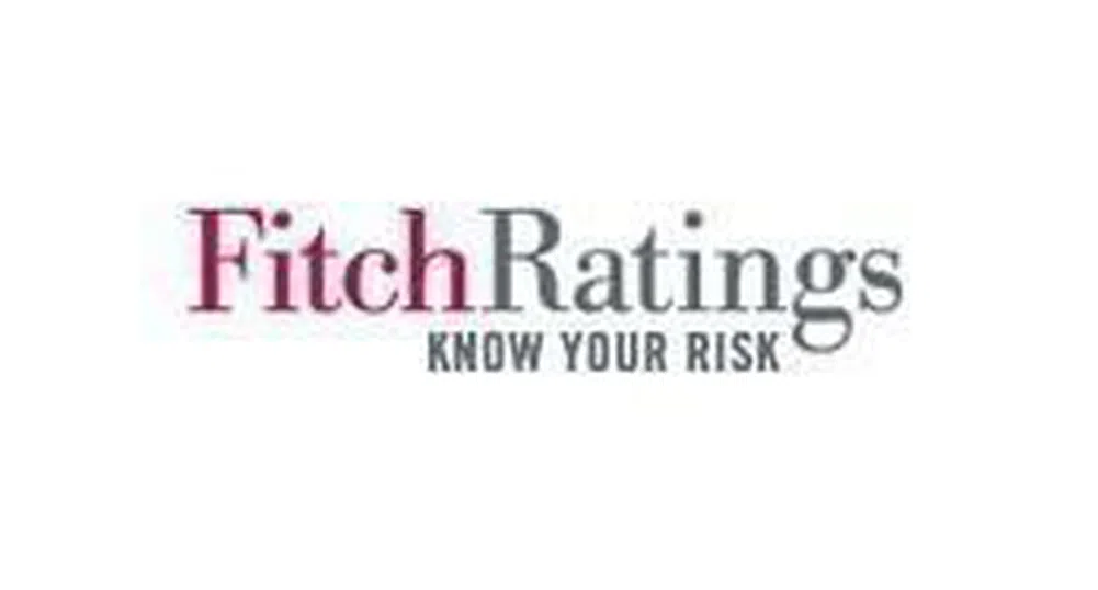 Fitch понижи рейтинга на Ирландия