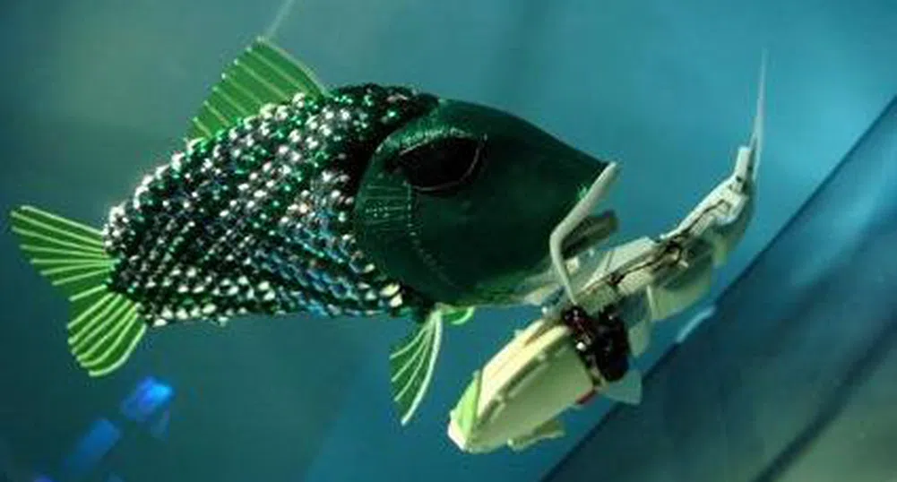 Риби-роботи с изкуствен интелект за 30 хил. долара
