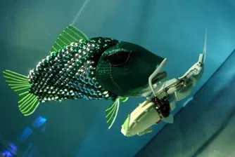 Риби-роботи с изкуствен интелект за 30 хил. долара