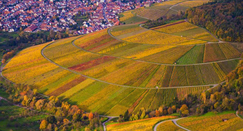 Земеделската земя в Румъния поскъпна с 50% за 3 г., а у нас?