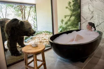 Jamala Wildlife Lodge – да вземеш вана пред погледа на мечка