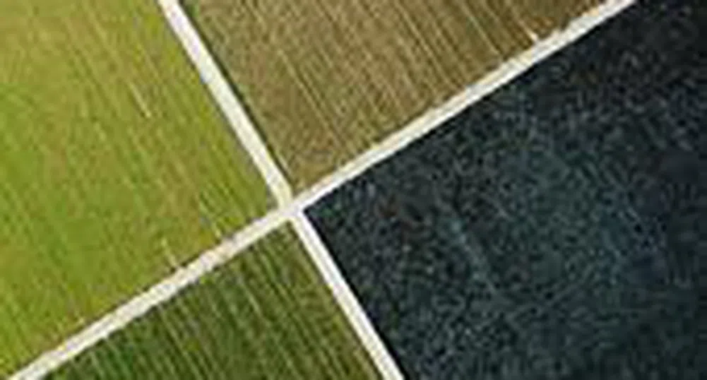 Агро Финанс притежава над 124 хил. земеделски земи