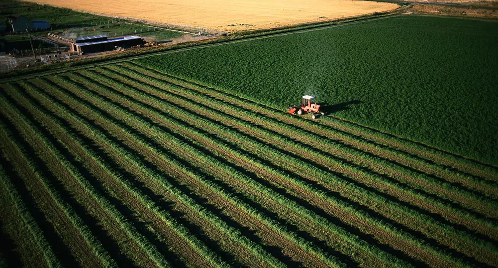 Земеделската земя у нас - по колко и къде?