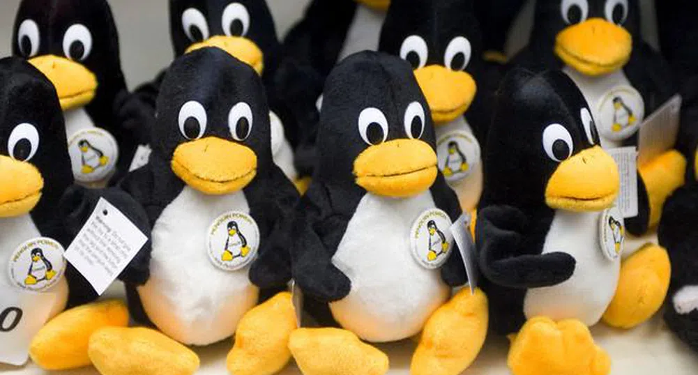 Linux навърши 20 години