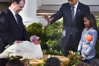 Обама помилва пуйките Епъл и Сайдър