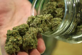 Легализираха марихуаната в Калифорния