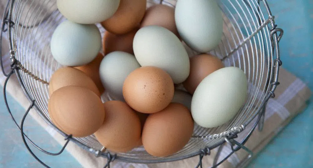 Ден след обещанието да увеличим вноса, яйцата поскъпнаха и в Европа