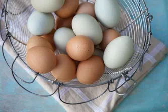 Ден след обещанието да увеличим вноса, яйцата поскъпнаха и в Европа