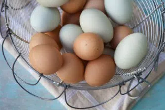 На Великден яйцата ни - от най-евтините в ЕС