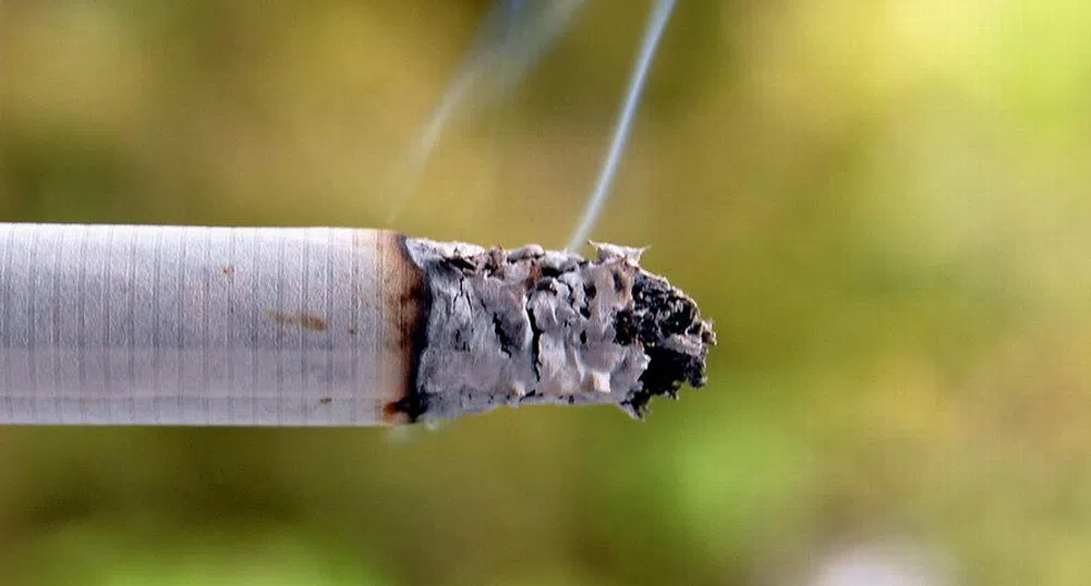 Загубите от контрабанда на цигари са 250 млн. лв.