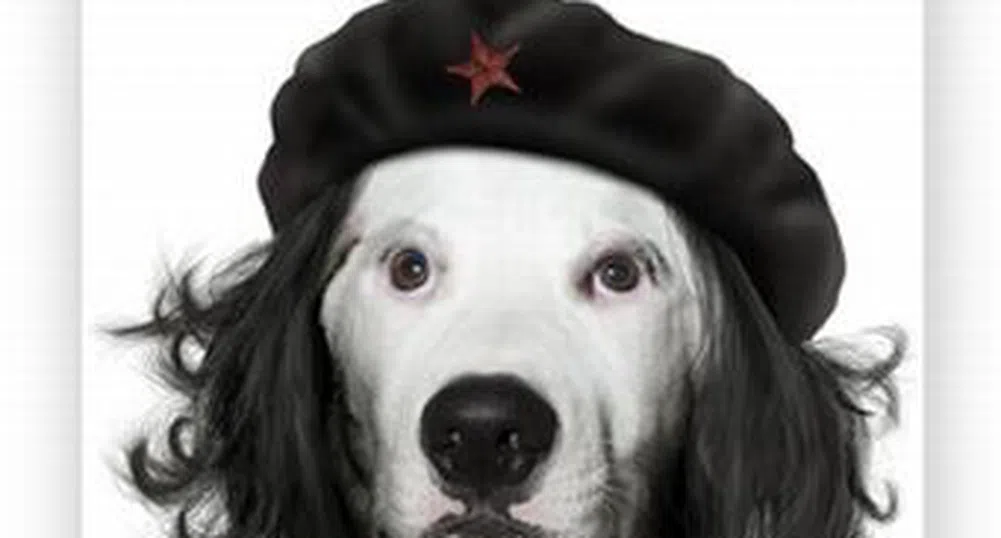 Британска фирма превърна Че Гевара в куче