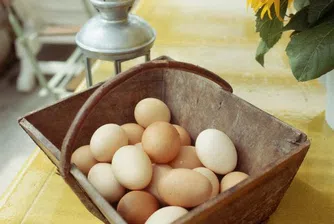 10 дни преди Великден: яйцата поевтиняват, агнешкото поскъпва