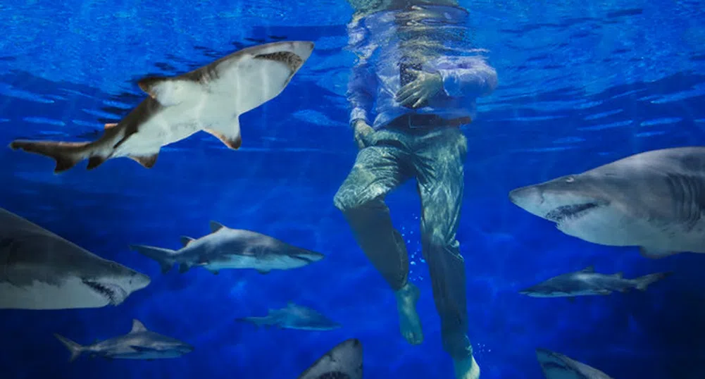 Хотел в Дубай предлага къпане с акули