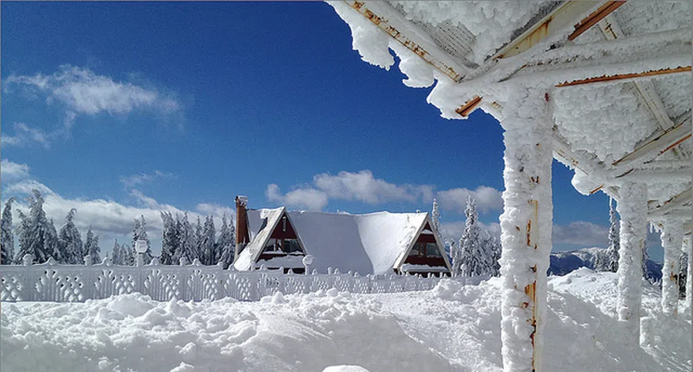 Невиждан сняг в САЩ