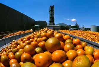 Цената на портокаловия сок скочи до тригодишен връх