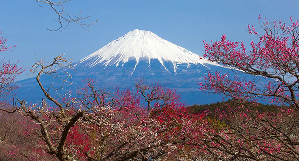 Топ 10 на нещата, които можете да правите в Япония