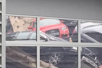 Шоурум на Audi пропадна