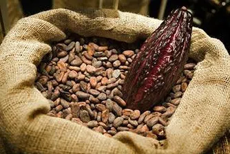 Неизвестен трейдър изкупи цялото какао в Европа