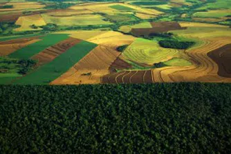 Агро Финанс с 43.2 млн. лв. инвестиции в земеделска земя