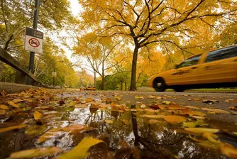 Нюйоркски таксиджия върна 10 хил. долара на клиент