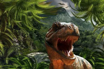 Скелет на летящ динозавър, открит преди години, е най-големият в света