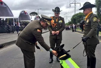 Наркотрафиканти обявиха награда за главата на полицейско куче