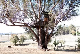 10 страхотни къщи на дърво, които може да наемете