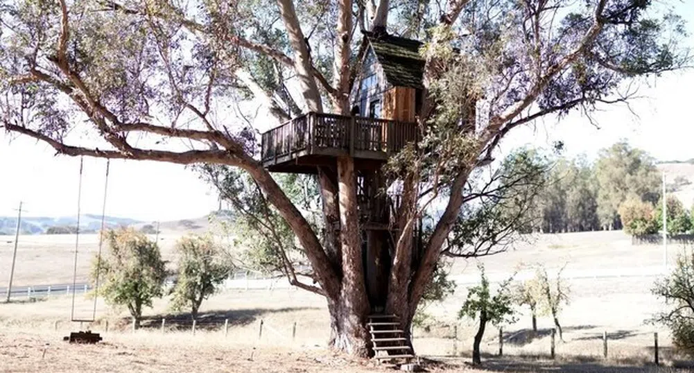 10 страхотни къщи на дърво, които може да наемете
