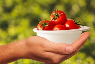 Десет любопитни факта за доматите