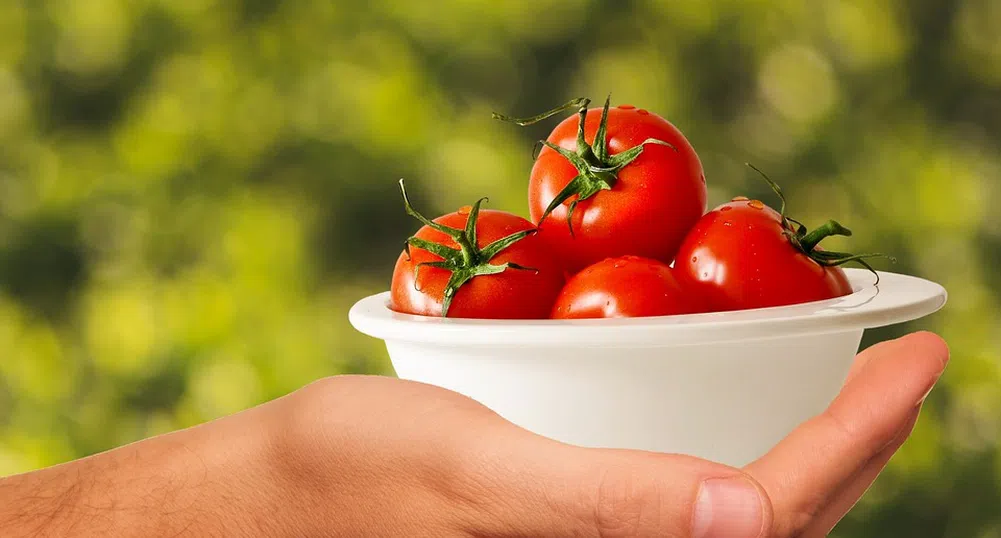 Десет любопитни факта за доматите